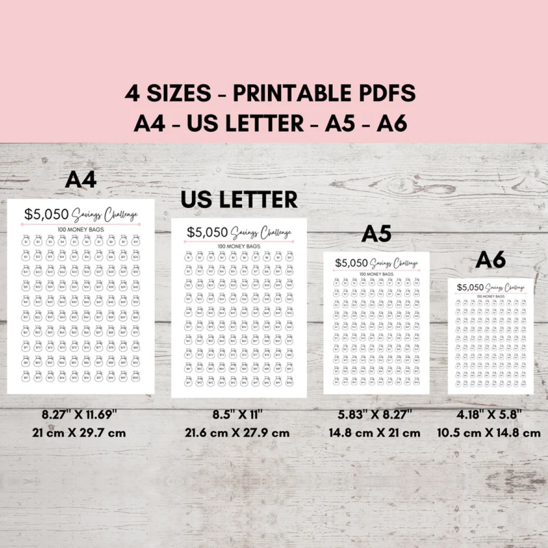 Savings Challenge, 100 Envelope Challenge Printable, 5050 Money Savings Printable Challenge, US Letter, A6, Budget Saving PDF