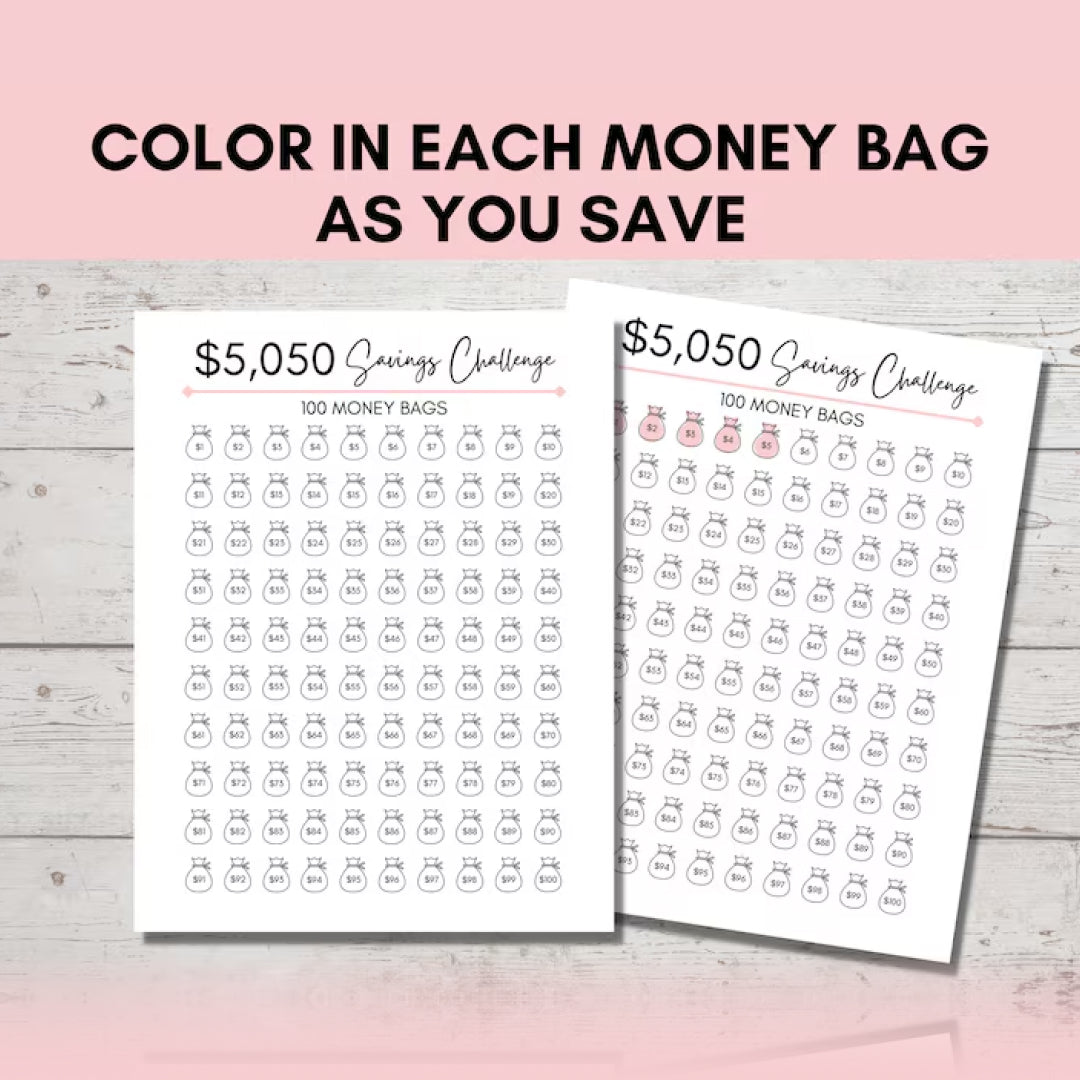 Savings Challenge, 100 Envelope Challenge Printable, 5050 Money Savings Printable Challenge, US Letter, A6, Budget Saving PDF